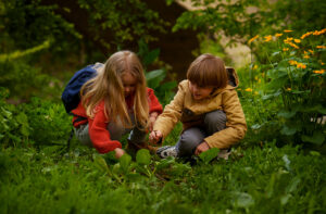 Porque es importante que los niños y las niñas aprendan respeto por la naturaleza